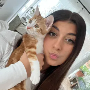Baby-sitter