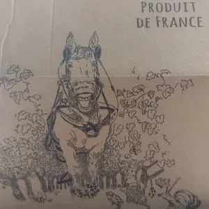 Emploi de dame de compagnie à La Charité-Sur-Loire