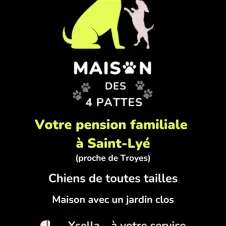 Ysella - Maison des 4 pattes à St-Lyé (pension chien)
