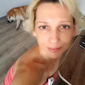 wyprowadzanie psów opieka nad zwierzętami