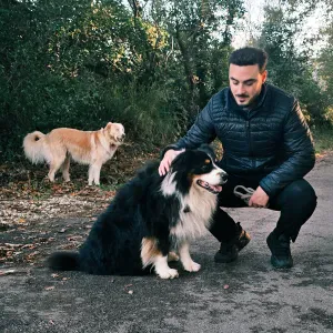 Pet sitter professionnel pour chiens et chats 🐶😺 