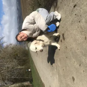 Reliable and i love dogs cat i can give them warth with love