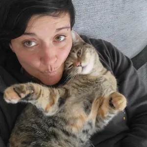 Garde ponctuelle 2 jeunes chats