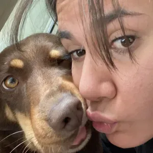 Dog Sitter a Catania