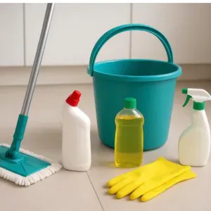 Aide ménagère sérieuse et ponctuelle 