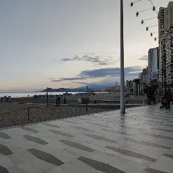 Busco acompañante persona mayor Burgos