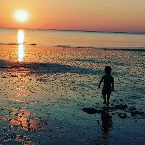 Aide a domicile, auxiliaire de vie 