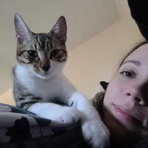 Disponible et sérieuse, visites chiens et chats