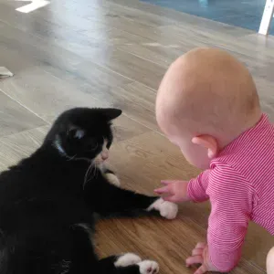 recherche gardien(ne) le mercredi 7h-15h