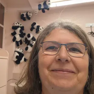 Aide a domicile / aide soignante