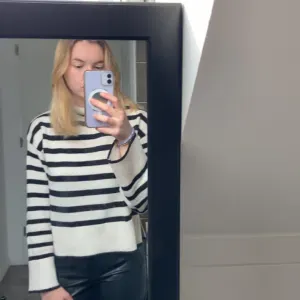 Amandine pet sitter à pont a marcq 