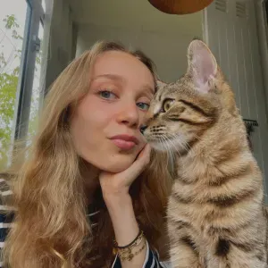 Garde de Chats sur Bordeaux-Centre/Mérignac