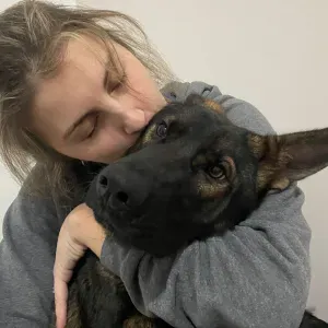 Pet sitter provincia di Gorizia 