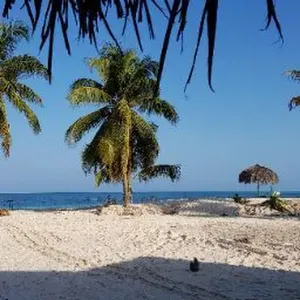 Recherche baby-sitter - garde d'enfants à Houilles