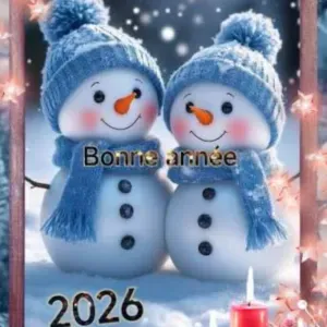 Femme de ménage et aide à domicile 