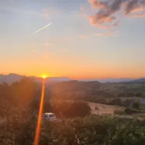 Signora delle pulizie 