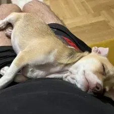 Disponibilité immédiate