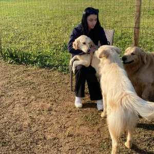 Pet sitting a Brescia per qualsiasi animale