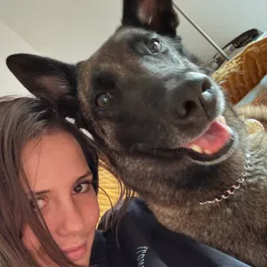 Pet-sitter à Toulouse quartier Cepière 