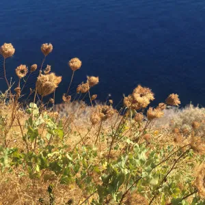 Employe(e) de maison experimente(e), garde enfant ponctuelle