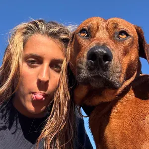 Pet sitting na zona de Cascais