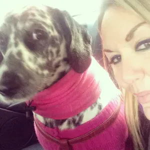 Dog sitter amante dei cani! ❤️