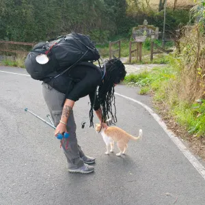 Pet sitting a Siracusa 