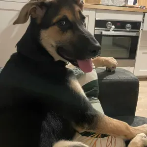 Recherche garde du 24 au 27 août 