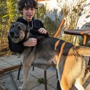 Pet-Sitter sur Carbonne et alentours