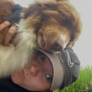 Pet-Sitter sur Lille et villeneuve d'ascq