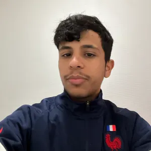 Homme de menage reponsable a paris 