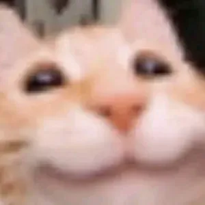 Je debute ;p mais je compte faire au mieu !