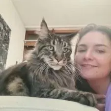 Un responsable organisé cherche à fournir un service de nett