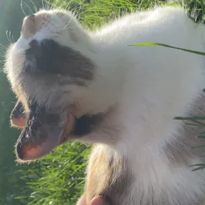 Disponible dans tout Lyon !!! Selon vos disponibilités 