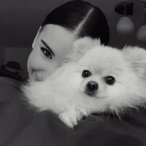 Petsitter, opieka nad zwierzętami