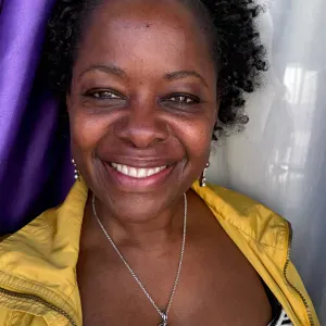 Limpezas domésticas  profissional 