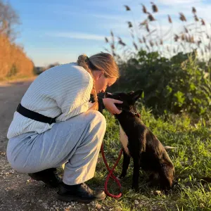 Pet sitting a Trento e dintorni