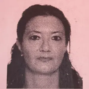 Addetta pulizie,stiro, babysitter 