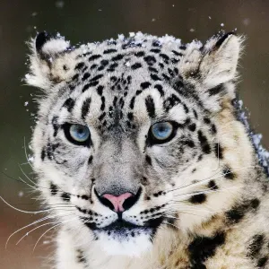 Nounou à domicile depuis 3 ans