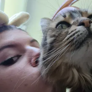 Elisa - catsitter dans le Val d'Oise