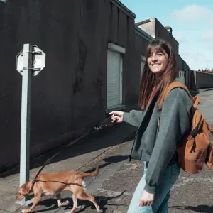 Garde / soin d'animaux