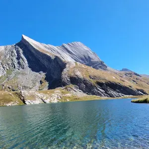 Offre d'emploi pour un(e) femme de ménage àBurdignin