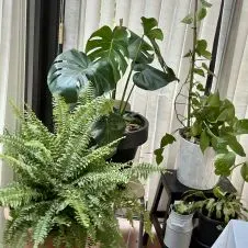 Disponible pour personne âgée