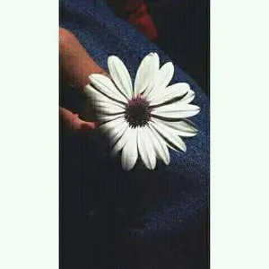 Soutien scolaire et aide aux devoirs