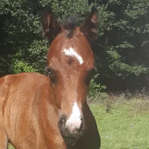 babby-sitting, nounou...régulier ou ponctuel