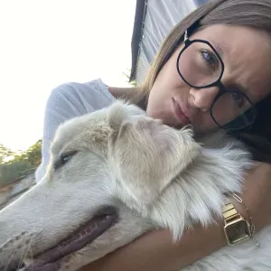 Pet-Sitter à Couvron-et-Aumencourt