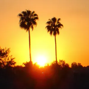 Lavoro per addetto alle pulizie Campo San Martino