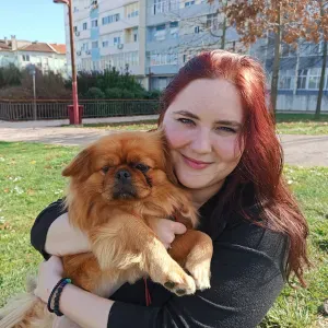 Pet-sitter a tempo inteiro. Experiência com voluntariado