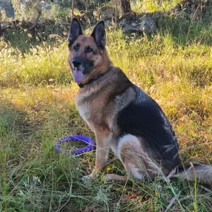Procura serviço limpeza 