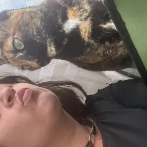 Cuido do teu gato com muito amor